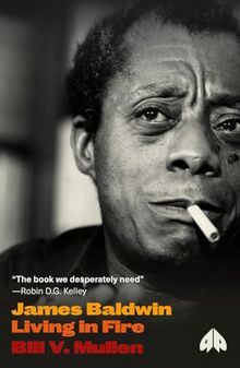 James Baldwin: Living in Fire (Revolutionary Lives)