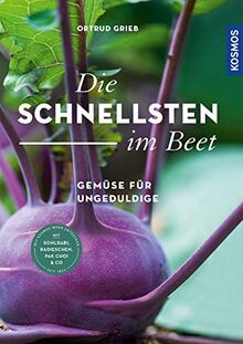 Die Schnellsten im Beet: Gemüse für Ungeduldige