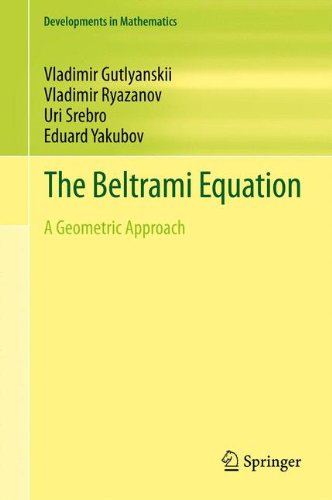 The Beltrami Equation: A Geometric Approach (Developments in Mathematics, Band 26)