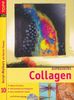Aufbaukurs Collagen