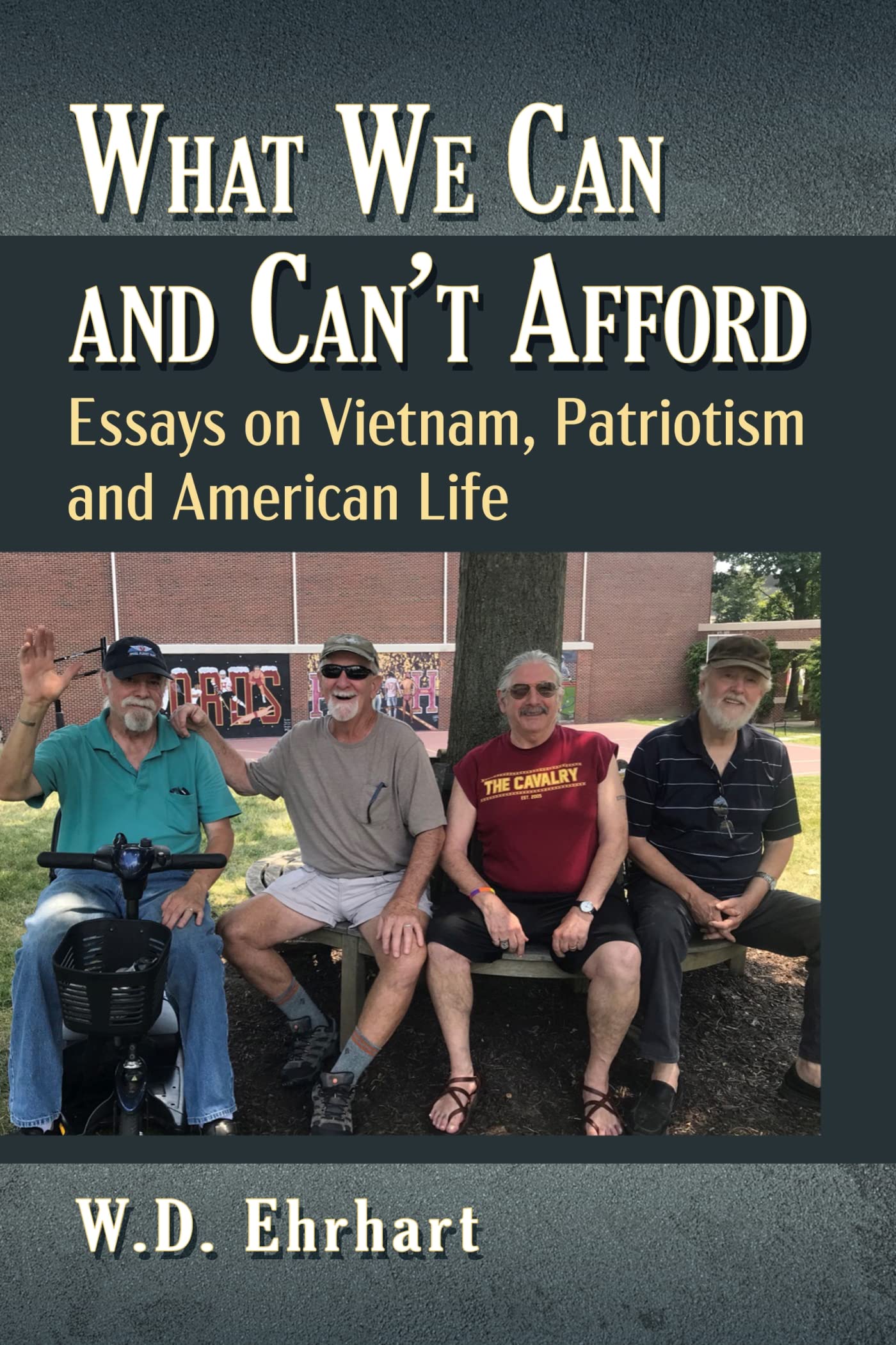 What We Can and Can't Afford: Essays on Vietnam, Patriotism and American Life
