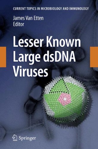 Lesser Known Large dsDNA Viruses (Current Topics in Microbiology and Immunology)
