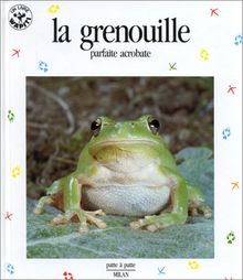 La Grenouille : parfaite acrobate