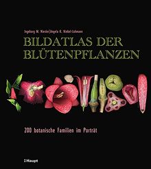 Bildatlas der Blütenpflanzen: 200 botanische Familien im Porträt