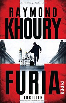 Furia: Thriller (Sean Reilly)