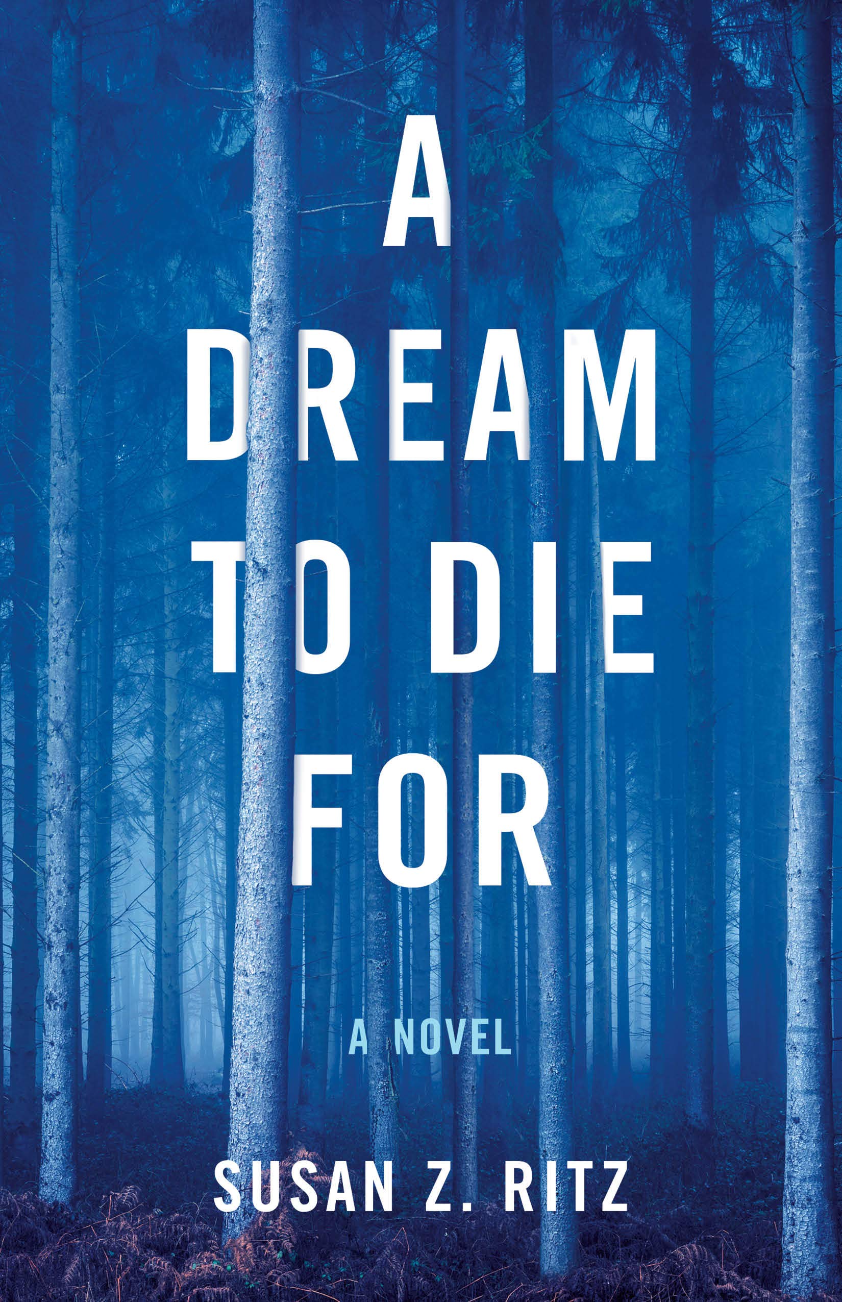Dream to Die For: A Novel