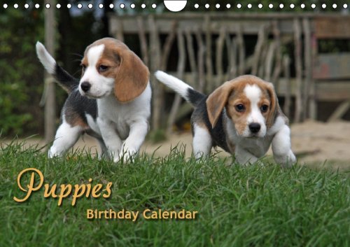 CALVENDO Animals: Puppies Birthday Calendar / UK-Version (Wall Calendar perpetual DIN A4 Landscape): Perpetual Birthday Calendar with cute dogs ... Rottke + Martina Berg, Pferdografen.de