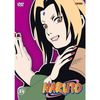 Naruto - Vol. 24, Episoden 101-104