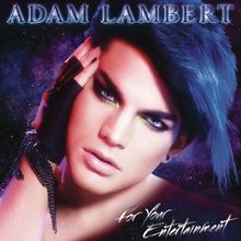 For Your Entertainment de Lambert,Adam | CD | état bon