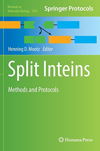 Split Inteins: Methods and Protocols (Methods in Molecular Biology)