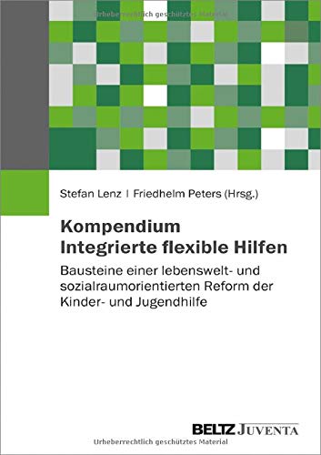 Kompendium Integrierte flexible Hilfen: Bausteine einer lebenswelt- und sozialraumorientierten Reform der Kinder- und Jugendhilfe