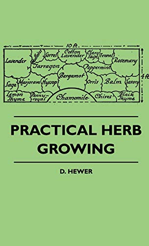 Practical Herb Growing