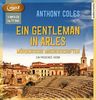 Ein Gentleman in Arles: Mörderische Machenschaften. Ein Provence-Krimi