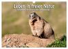 Leben in freier Natur - Wildtiere in natürlicher Umgebung (Wandkalender 2024 DIN A3 quer), CALVENDO Monatskalender