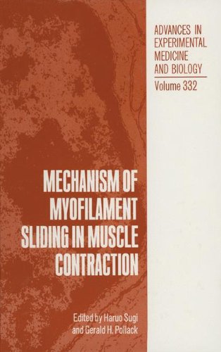 Mechanism of Myofilament Sliding in Muscle Contraction (Advances in Experimental Medicine and Biology)