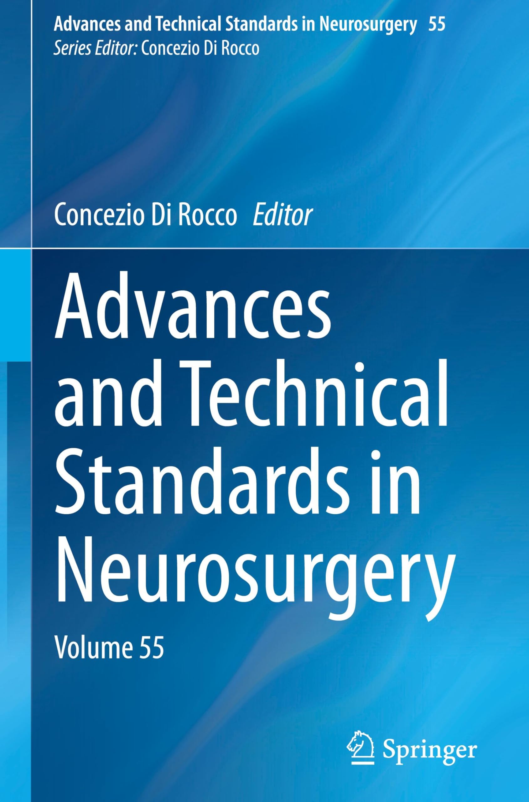 Advances and Technical Standards in Neurosurgery: Volume 55 (Advances and Technical Standards in Neurosurgery, 55, Band 55)
