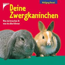 Deine Zwergkaninchen. Was sie brauchen und was sie alles können