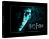 Harry Potter 1 - 6 Album (7 Discs inkl. Platzhalter für HP 7.1 und 7.2) [Blu-ray] [Collector's Edition]