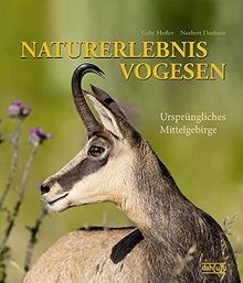 NATURERLEBNIS VOGESEN: Ursprüngliches Mittelgebirge