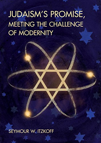 Judaisms Promise Meeting the Challenge of Modernity - Seymour W Itzkoff Kartoniert (TB)
