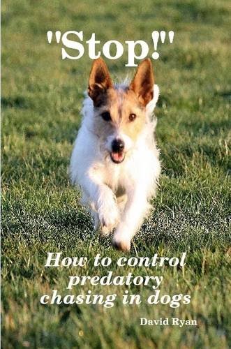 Stop! How to control predatory chasing in dogs