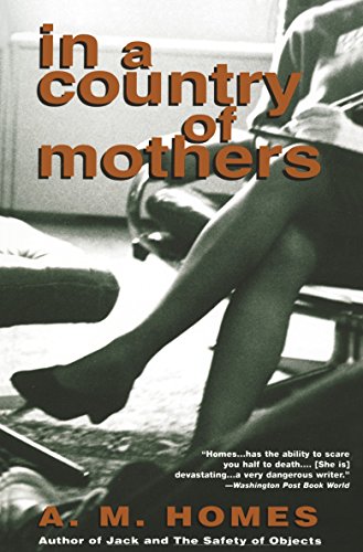 In a Country of Mothers (Vintage Contemporaries)