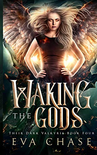 Waking the Gods (Their Dark Valkyire, Band 4)