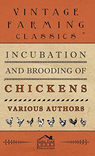 Incubation and Brooding of Chickens