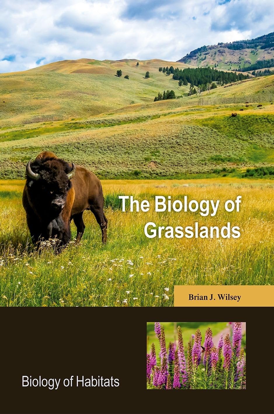 The Biology of Grasslands (Biology of Habitats)