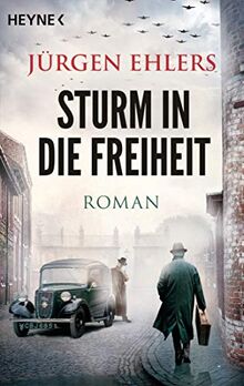 Sturm in die Freiheit: Roman