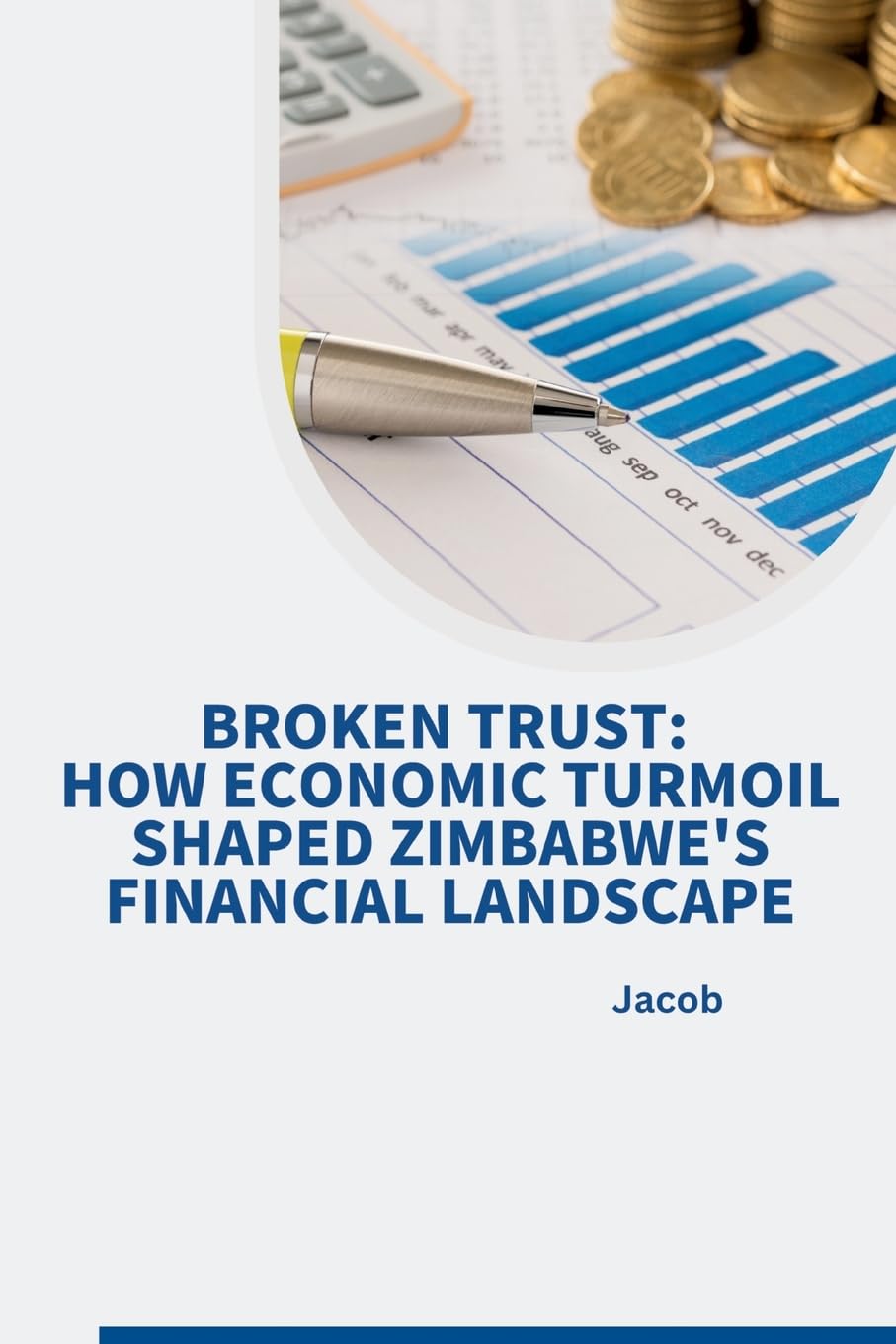 Broken Trust: How Economic Turmoil Shaped Zimbabwe's Financial Landscape: DE
