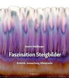 Faszination Steigbilder: Ästhetik, Auswertung, Bildsprache