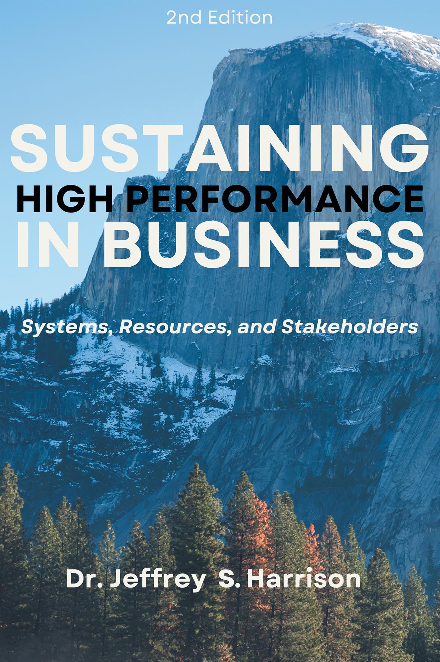 Sustaining High Performance in Business: Systems, Resources, and Stakeholders