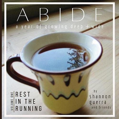 Rest in the Running: A Year of Growing Deep and Wide (Abide, Band 1)