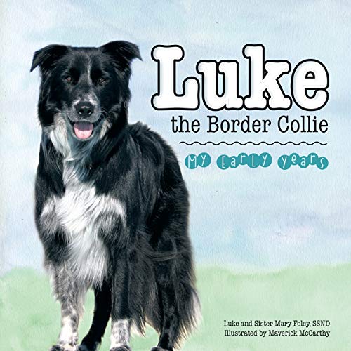 Luke the Border Collie: My Early Years
