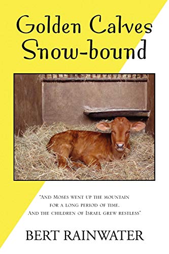 Golden Calves Snow-bound