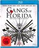 Gangs of Florida [Blu-ray]