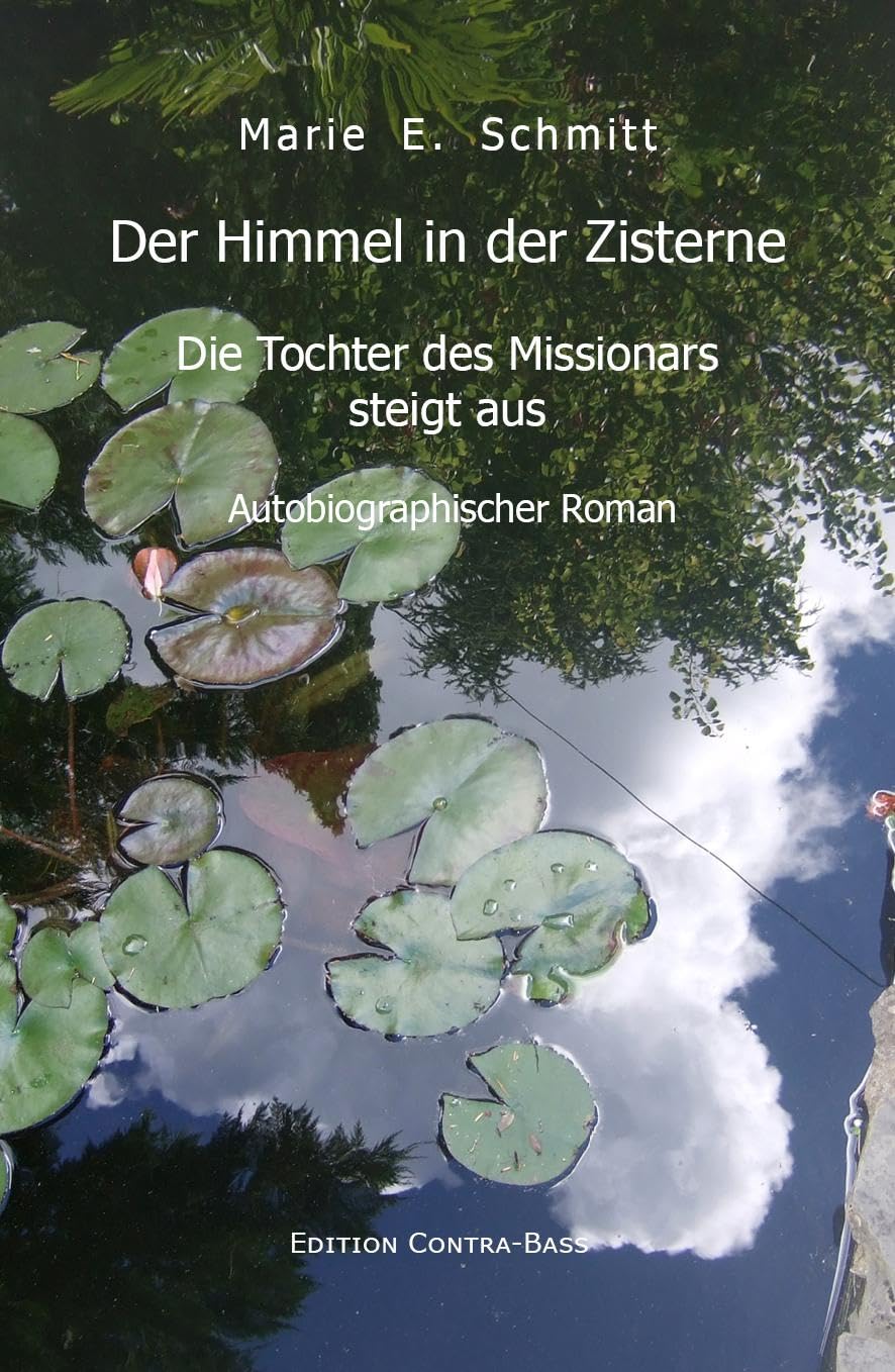 Der Himmel in der Zisterne: Die Tochter des Missonars steigt aus