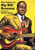 Woody Mann - The Guitar Of Big Bill Broonzy [UK Import]