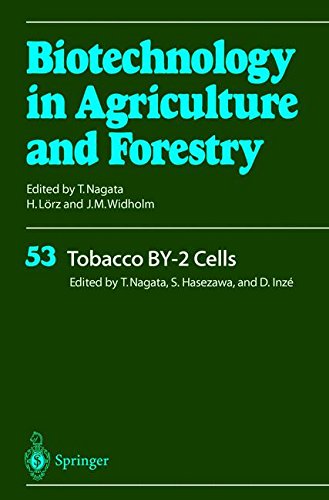 Tobacco BY-2 Cells (Biotechnology in Agriculture and Forestry, Band 53)