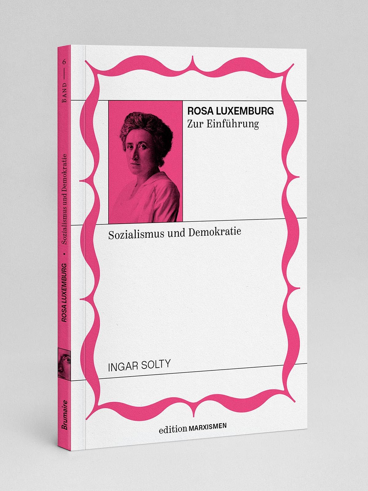 Rosa Luxemburg zur Einführung: Sozialismus und Demokratie: Band 6, Edition Marxismen (Edition Marxismen: Zweihundert Jahre Systemkritik für systematische Weltverbesserer)
