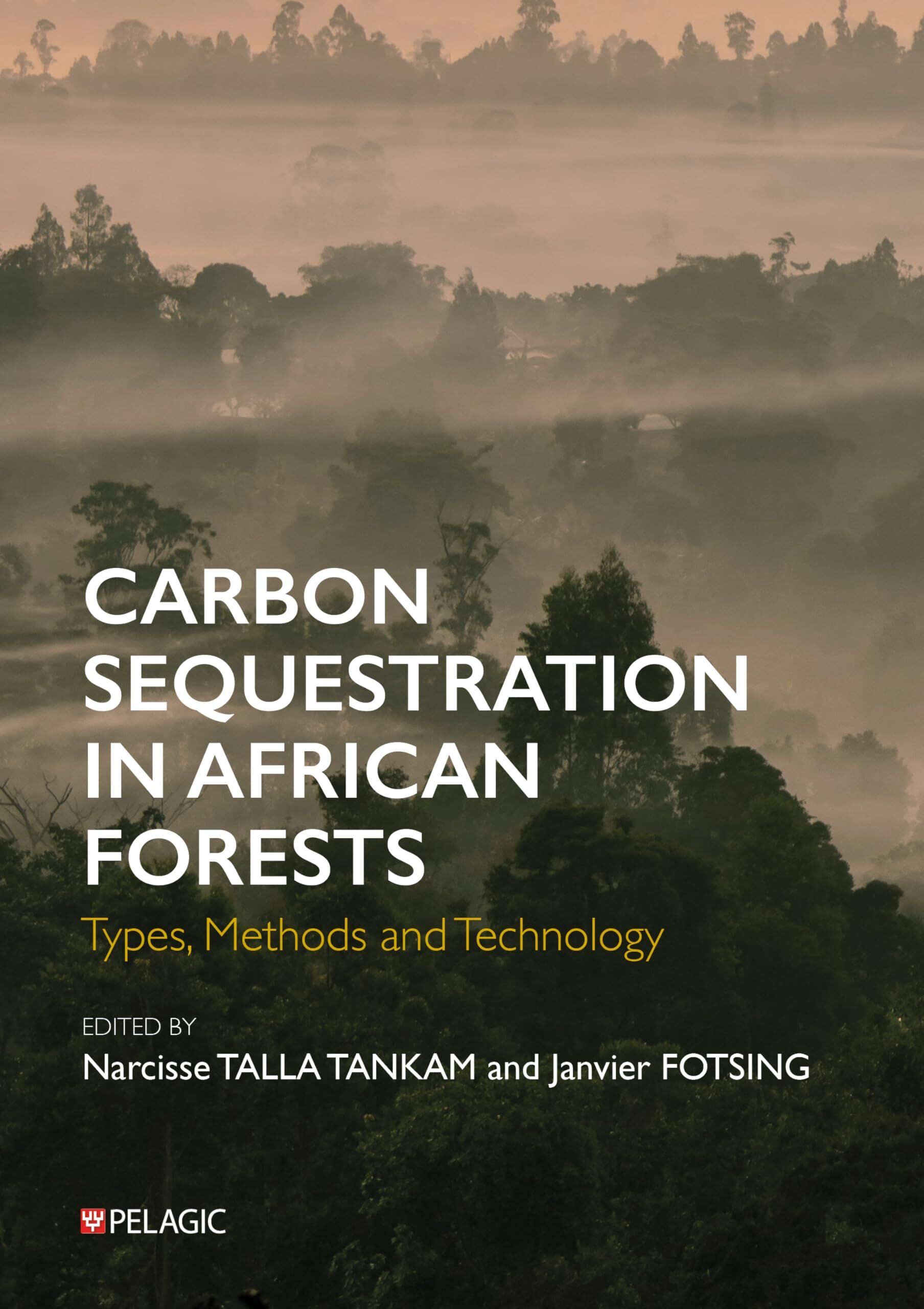 Carbon Sequestration in African Forests