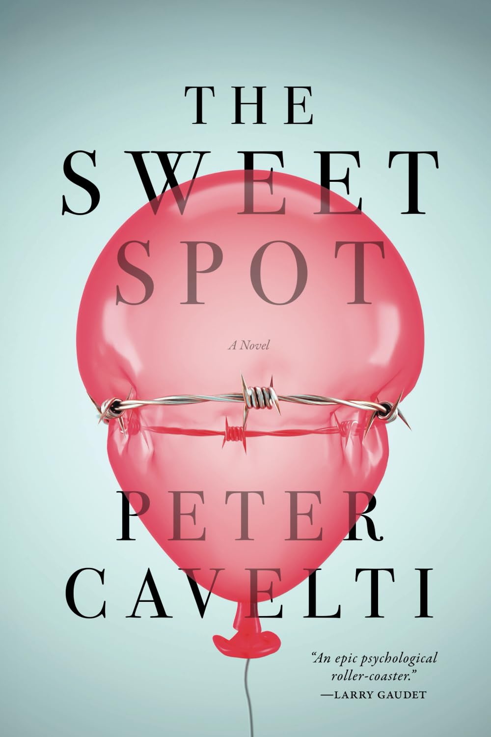 The Sweet Spot: A Novel