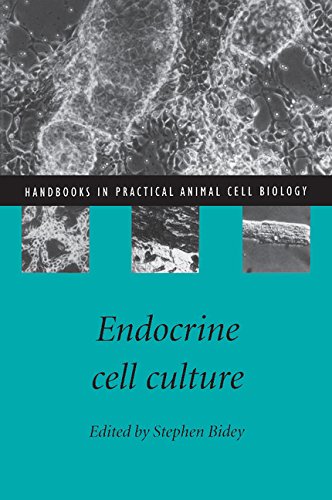 Endocrine Cell Culture (Handbooks in Practical Animal Cell Biology)