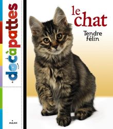 Le chat : tendre félin