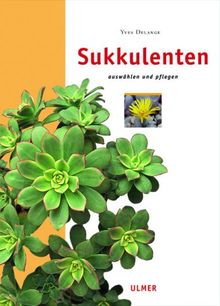 Sukkulenten: Auswählen und pflegen