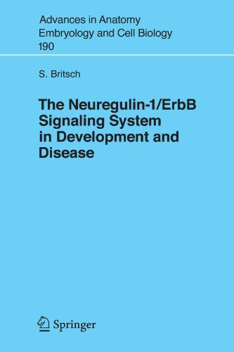 The Neuregulin-I/ErbB Signaling System in Development and Disease (Advances in Anatomy, Embryology and Cell Biology): Advances in Anatomy, Embryology and Cell Biology, Volume 190