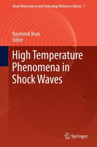 High Temperature Phenomena in Shock Waves (Shock Wave Science and Technology Reference Library)