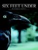 Six Feet Under - Gestorben wird immer, Die komplette vierte Staffel (5 DVDs)