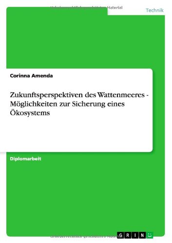 Zukunftsperspektiven des Wattenmeeres - Möglichkeiten zur Sicherung eines Ökosystems